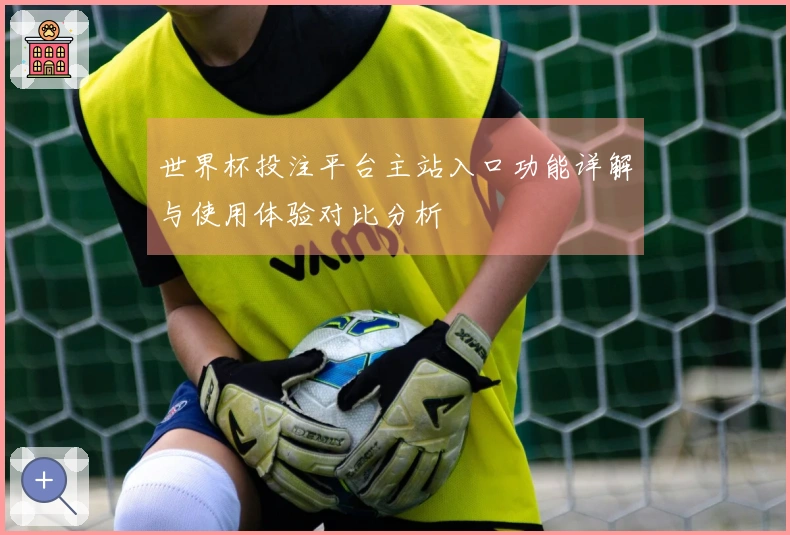 世界杯投注平台主站入口功能详解与使用体验对比分析