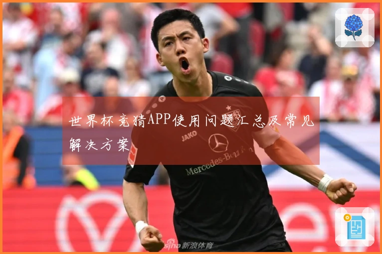 世界杯竞猜APP使用问题汇总及常见解决方案 안내