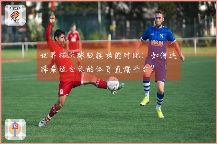 世界杯买球链接功能对比:如何选择最适合你的体育直播平台?