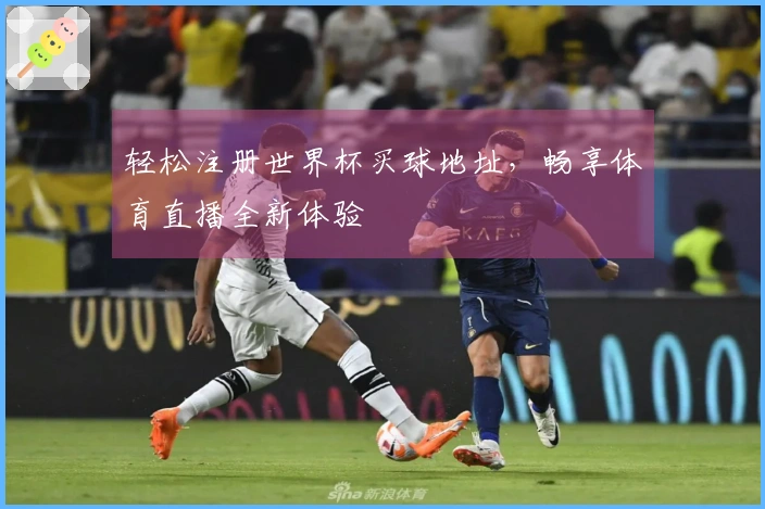 轻松注册世界杯买球地址，畅享体育直播全新体验