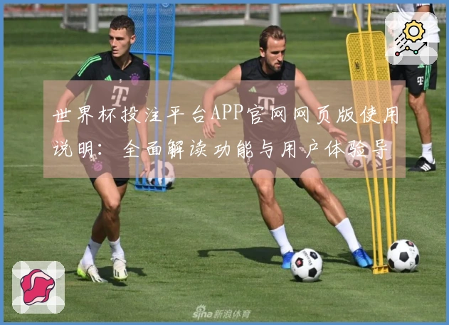 世界杯投注平台APP官网网页版使用说明：全面解读功能与用户体验导向