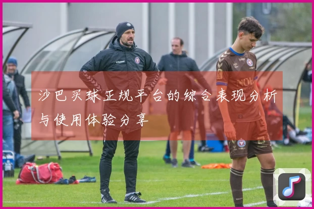 沙巴买球正规平台的综合表现分析与使用体验分享