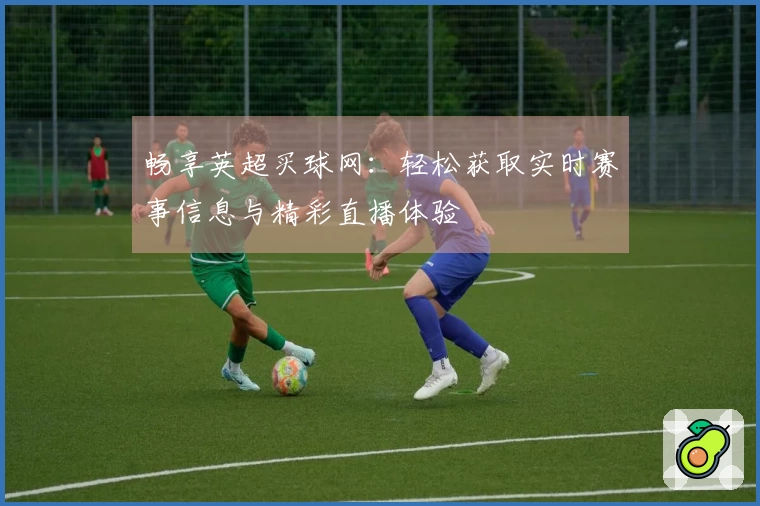 畅享英超买球网：轻松获取实时赛事信息与精彩直播体验
