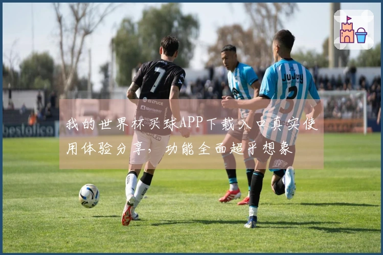 我的世界杯买球APP下载入口真实使用体验分享，功能全面超乎想象