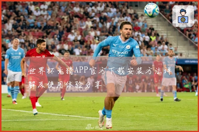 世界杯竞猜APP官方下载安装方法详解及使用体验分享
