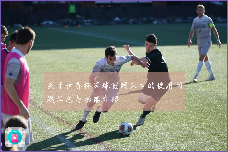 关于世界杯买球官网入口的使用问题汇总与功能介绍
