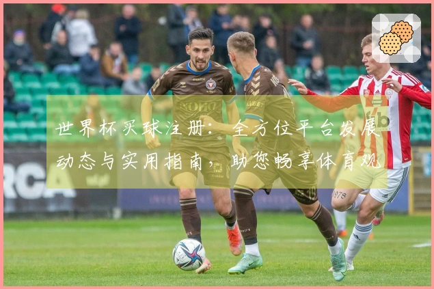 世界杯买球注册：全方位平台发展动态与实用指南，助您畅享体育观赛新体验