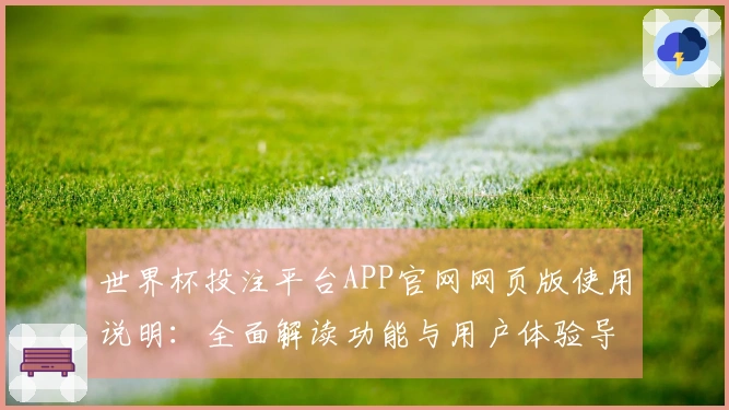 世界杯投注平台APP官网网页版使用说明：全面解读功能与用户体验导向