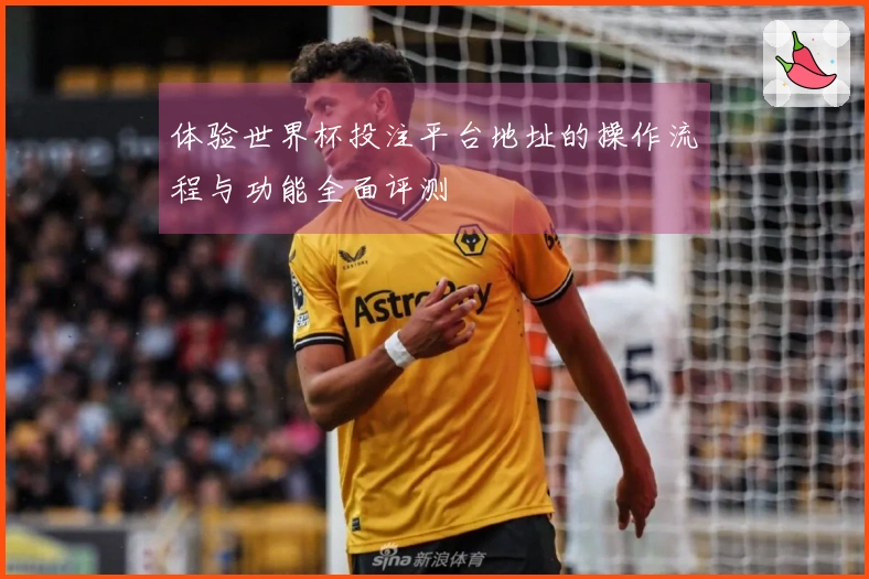 体验世界杯投注平台地址的操作流程与功能全面评测
