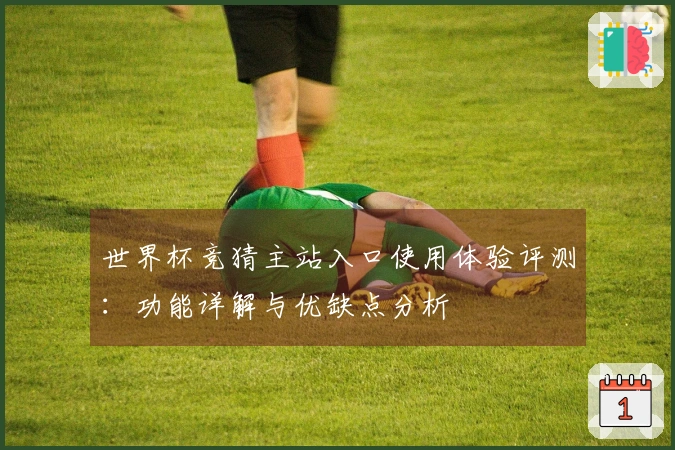 世界杯竞猜主站入口使用体验评测：功能详解与优缺点分析