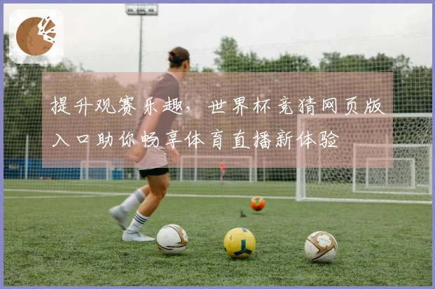 提升观赛乐趣，世界杯竞猜网页版入口助你畅享体育直播新体验
