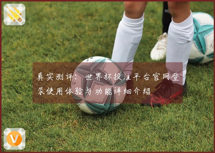真实测评：世界杯投注平台官网登录使用体验与功能详细介绍