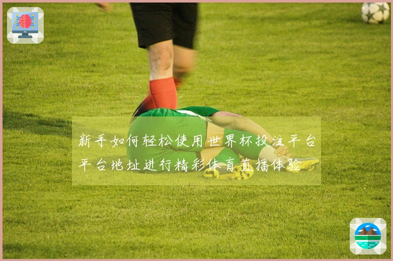 新手如何轻松使用世界杯投注平台平台地址进行精彩体育直播体验